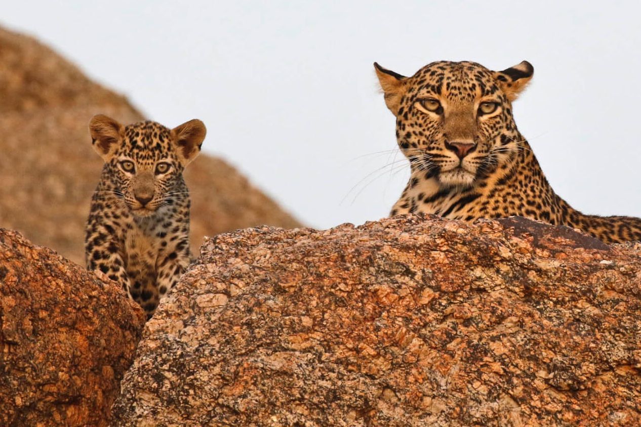 Scenic hills of Jawai, Pali district, Rajasthan